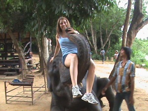 Elephant Camp, Riding to jungle